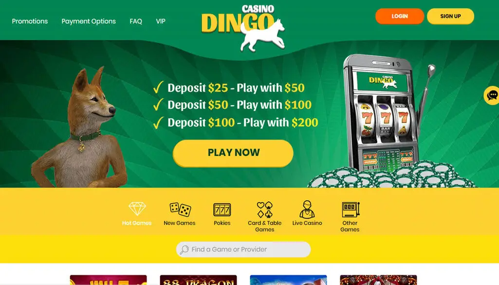 Dingo Casino Review App & Mobile